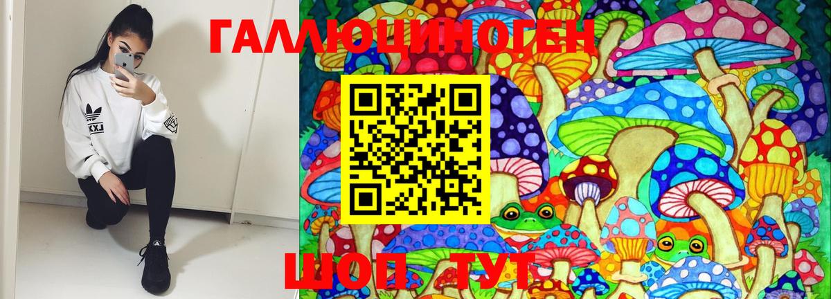 Галлюциногенные грибы мухоморы Чернушка