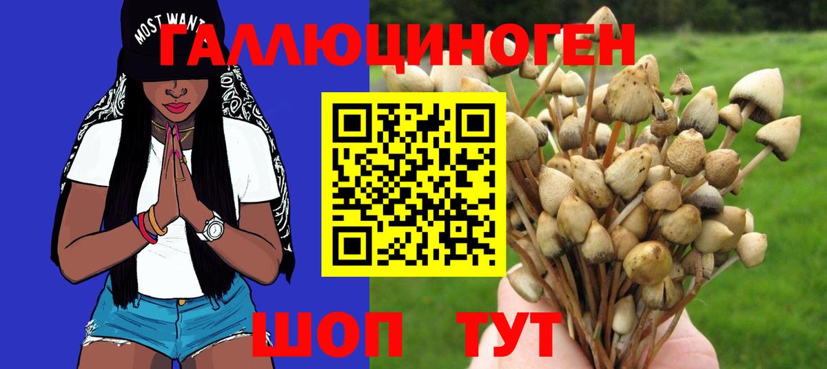 Галлюциногенные грибы прущие грибы  Галлюциногенные грибы Magic Shrooms  Вход с VPN  Чернушка 
